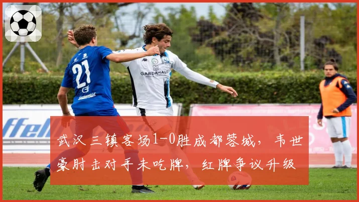 武汉三镇客场1-0胜成都蓉城,韦世豪肘击对手未吃牌,红牌争议升级为足协问责