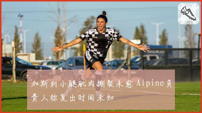 加斯利小腿肌肉撕裂未愈 Alpine负责人称复出时间未知
